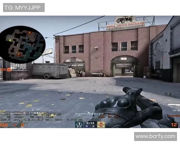 杨芳专访：从新手到高手的CSGO成长之路与心路历程分享