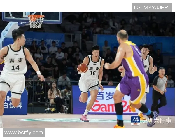 重庆篮球队整体压制体系解析与战术运用探讨