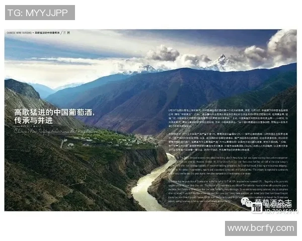 重磅专题：探讨北京篮球队在战术与管理上的全面创新与变革之路