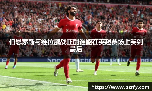 mk体育官网